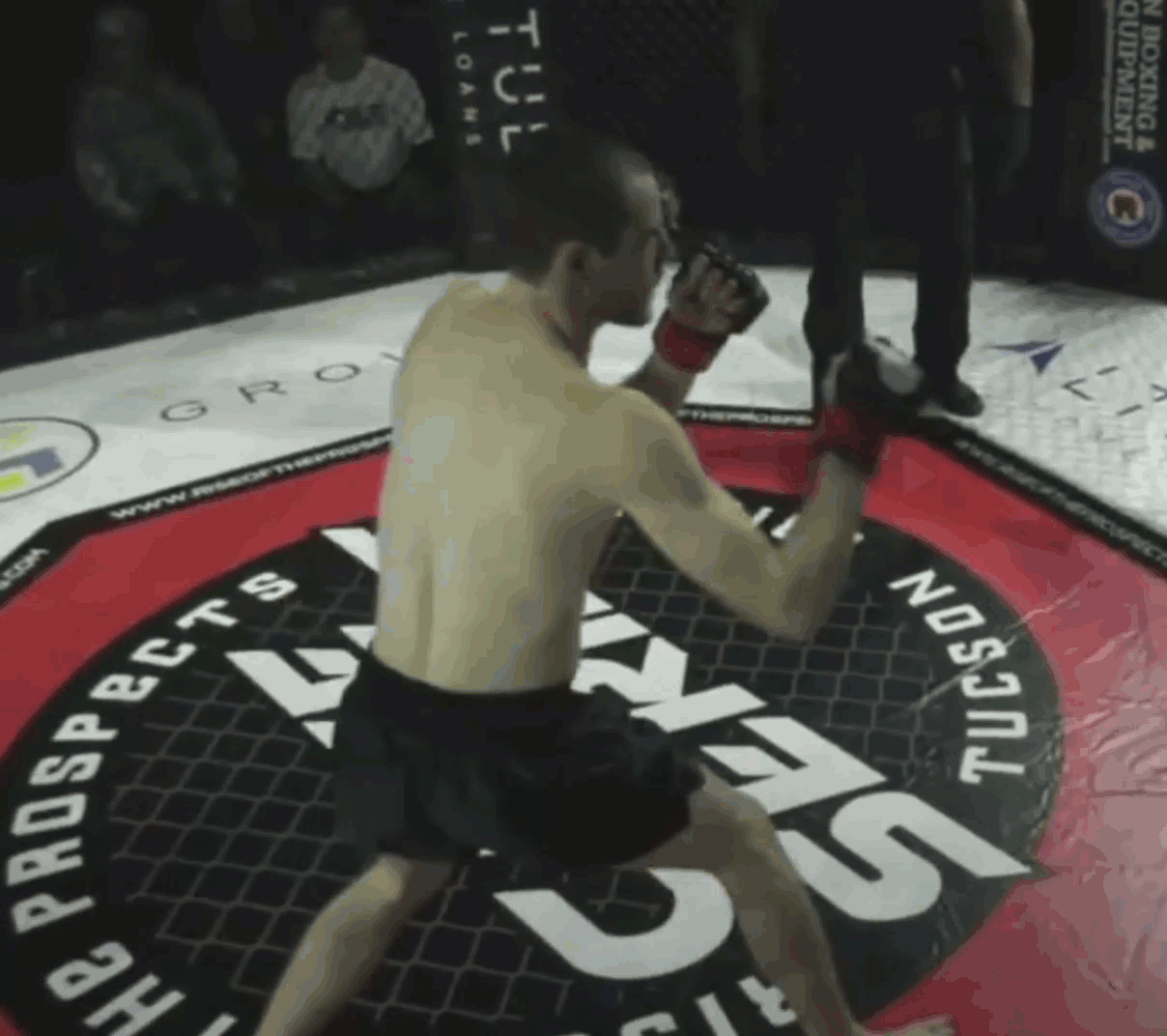 General stance and movement