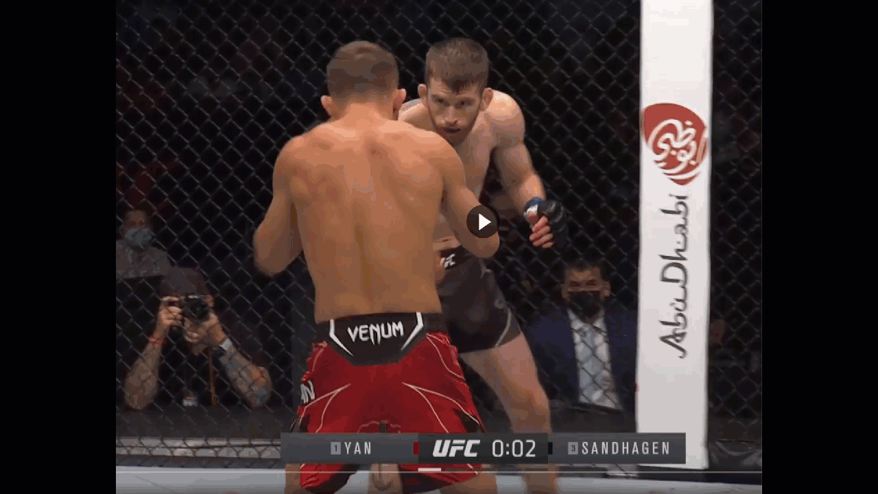 Right head kick, second example
